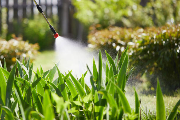 24/7 Emergency Cockroach Control experts in Hoxie, KS